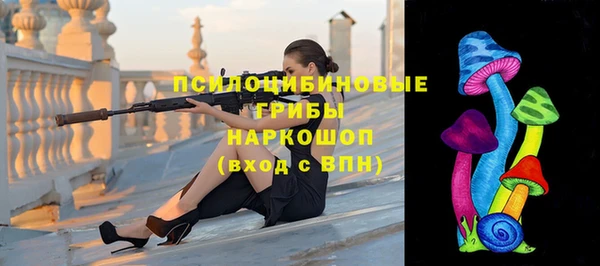 дмт Ладушкин