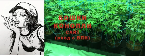 дмт Ладушкин
