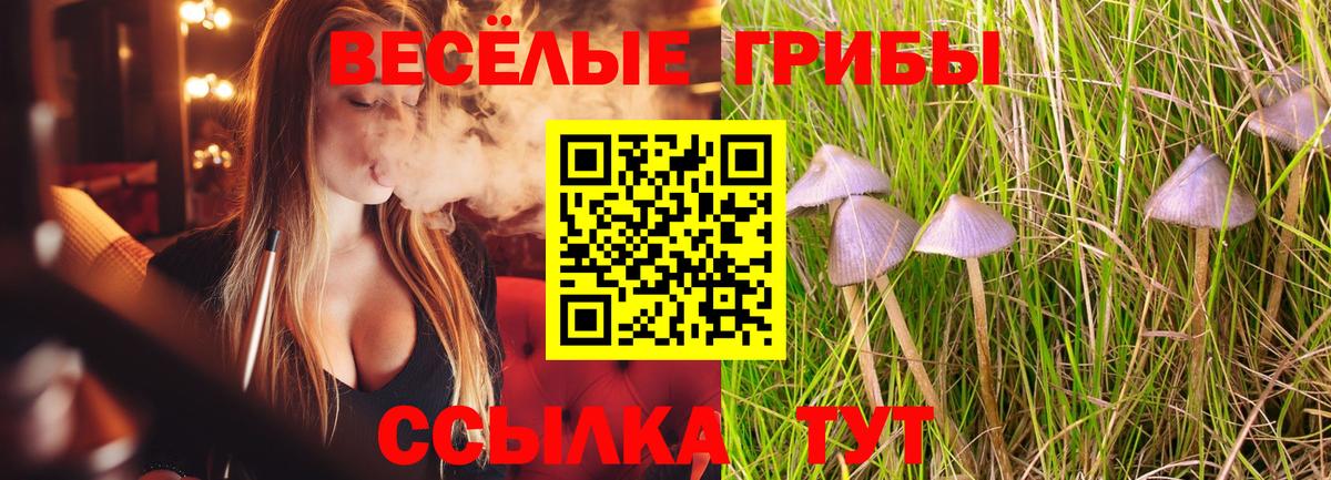 магазин продажи наркотиков  Вход с VPN  Галлюциногенные грибы MAGIC MUSHROOMS  Мирный  Псилоцибиновые грибы ЛСД 